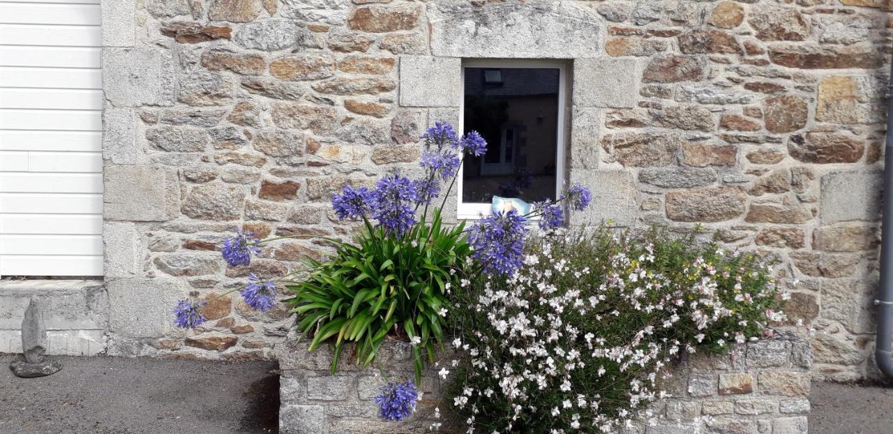 Au Calme A 10Mn Des Baies De Douarnenez Et Audierne Avec Cuisine A Disposition Mahalon Eksteriør billede